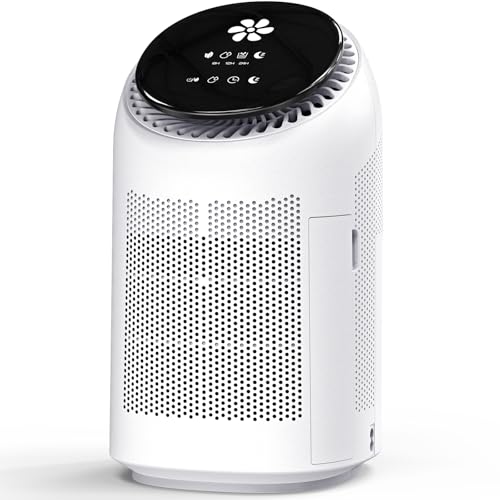 Dehumidifier with Purification Function
