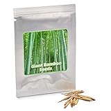 🌱 EXTREM WIDERSTANDSFÄHIG: Der hochwertige Riesenbambus eignet sich aufgrund seiner robusten Beschaffenheit auch als effektiver Windschutz und übersteht auch Temperaturen von bis zu -15 Grad kinderleicht.