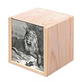 Ajoutez une touche rustique à vos besoins de rangement avec cette boîte en bois couleur sapin clair