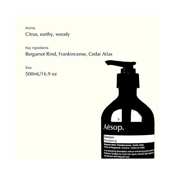 Aesop Shampoo 500mL/16.9 oz Shampoo & Dry Scalp Treatment Otoory