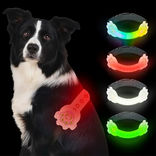Besser als beleuchtetes Hundehalsband für kleine Hunde, LED- Hundehalsband, wiederaufladbar, Hundesicherheitsvorrichtung mit einzigartigem Gürtel- Design
