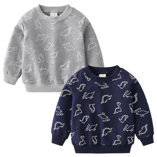 Image of GFQLONG 2 Pack Toddler Boys Long Sleeve Pullover Crewneck Tops Shirts, Cotton Warm Dinosaur Cartoon Sweatshirts,Navy Blue+Gray Dinosaurs,2-3T