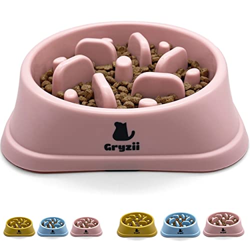 Gamelle Anti Glouton Chat, Chien | Bol d'Alimentation Lente et Saine, Favorise la Digestion de l'animal, Anti Vomissements, Design avec Pieds Antidérapants, Petit et Moyen Chien (Petit/Moyen, Rose)