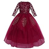 ❤❤ Wunderschönes Blumenmädchenkleid, Abendkleider Kinder Kleinkind teenager mädchen kleider zum Feierliche Anlässe, Mädchen Abendkleider Kinder Hochzeitskleider, Hochzeitskleider für Mädchen Brautkleid Erstkommunionkleid, Ballkleider für Kinder Mädchen kommunionkleid, Partykleid Mädchen Prinzessin Kleid, Mädchen 3/4 Ärmel Pailletten Spitze Tüll Abendkleid Maxikleid, Mädchen Geburtstagkleid Halloween Weihnachten Karneval festlich Festzug Partykleid.