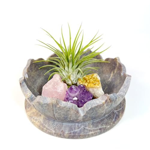 Lotus Carved Stone Bowl with Amethyst, Rose Quartz, Citrine & Air Plant – Natural Crystal Decor Gift Set, Ready-to-Gift Boxed – Meditation, Home Office, Boho Zen Decor