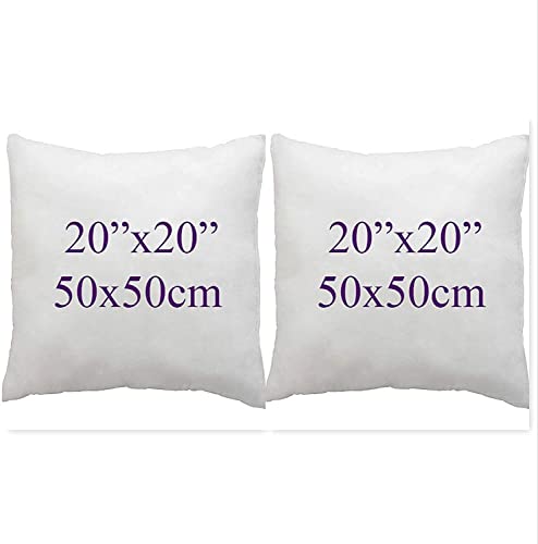 ARLINENS Pack of 2 Duck Feather & Down Cushion Pad Inner Insert -100% Natural Cotton Anti Dust Mite and Down Proof Cushion Pads Cover/Non Allergenic (20x20)
