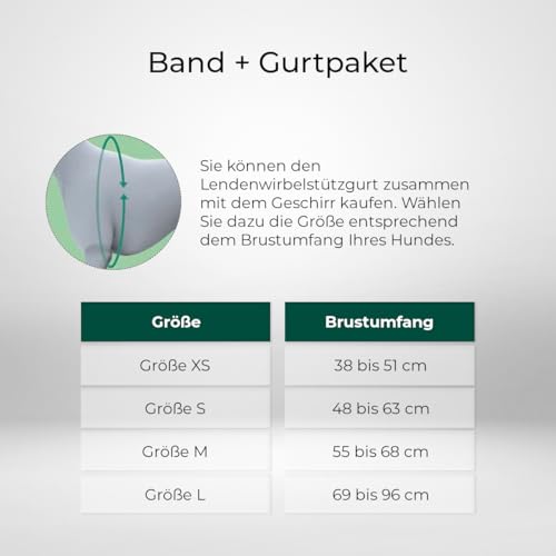 Ortocanis - Haltegurt für Kniebandage Hund - Verhindert das Abrutschen und Sichert die Kniebandage - Fördert die Stabilität - Größe nur Gurtband: L 69-96 cm