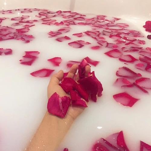 Pétalos secos naturales de rosa roja 100g para decoración miniatura 4