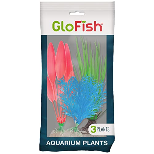 Best plants for fluorescent lighting Reviews and Buying Guide 2022 licorize