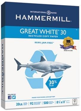 Great White 30 Recycled Paper, 92 Bright, 20lb, LTR, 500/RM, 10 RM/CT