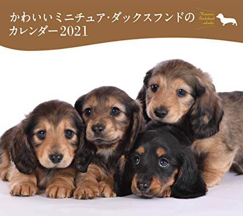ダックス カレンダーの人気商品 通販 価格比較 価格 Com