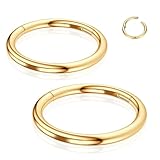 WYR Aros de titanio para la nariz: 2 unidades de 20 g, 18 g, 16 g, para tabique, cartílago, hélice, daith, aretes de 6 mm a 12 mm, joyería de piercing de caracola, color negro, plateado y dorado