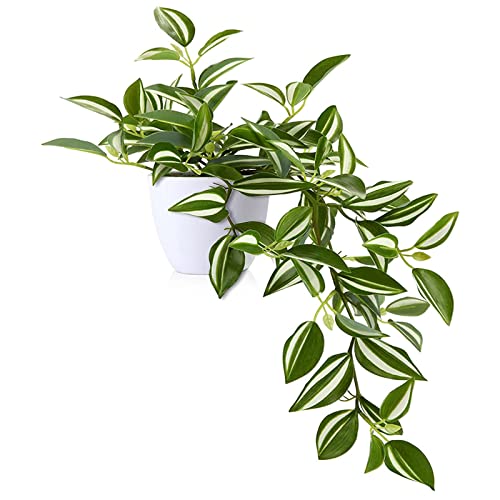 MOSADE フェイクグリーン 光触媒 人工観葉植物【ハカタカラクサ】ミニ インテリアグリーン 小さい 造花 卓上 世話いらず 水やり不要 オフィス ホーム デコレーション MOSADE フェイクグリーン 光触媒 人工観葉植物【ハカタカラクサ】ミニ インテリアグリーン 小さい 造花 卓上 世話いらず 水やり不要 オフィス ホーム デコレーション