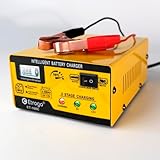 Etrogo Chargeur de Batterie 12V 6V 1A 15A Intelligent Entièrement Automatique Chargeur d'impulsions avec écran à Barre LED pour Voiture Moto