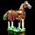 31166-Beautiful Horse