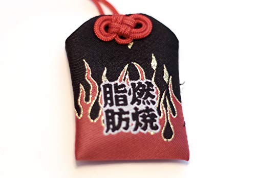 Japanese Omamori - 10 Styles of Good Luck Charms for Health/Career/Education/Love/Safety/Wealth (Burn Calories - Lose Weight)