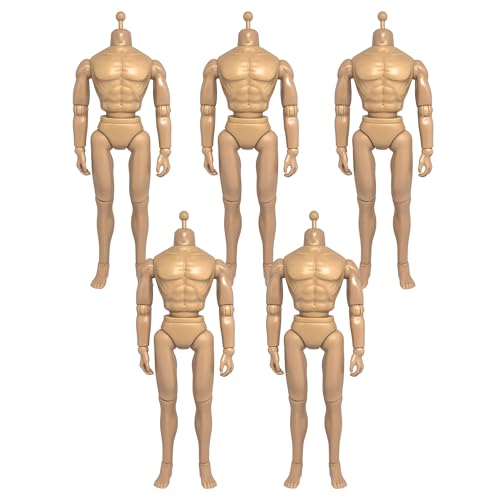 Set de 5 cuerpos articulados masculinos 1/6 12 pulgadas miniatura 1