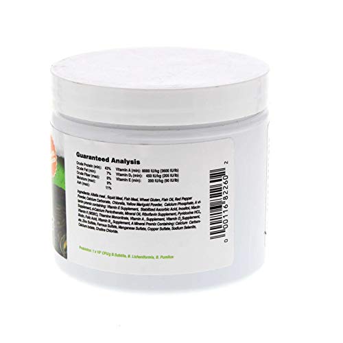 Image of Aquatic Turtle, 140 g / 4.9 oz. (8226)