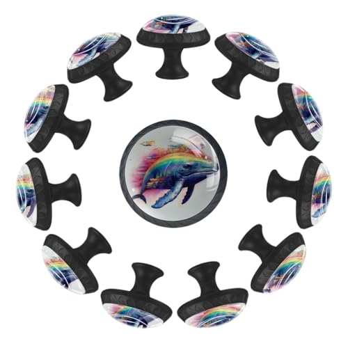 Boutons de meuble cristal Rainbow Whale placard et bibliothèque