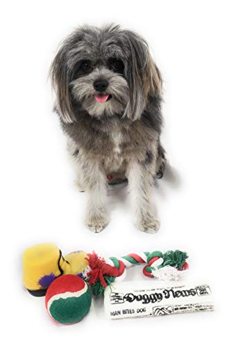 image for Massca Christmas Dog Stocking Toys. Pack Assorted with Squeaker Inside
