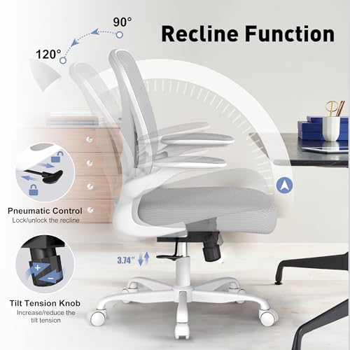 Image of Ergonomic Office Chair with Adjustable Lumbar Support, 300 lbs Swivel Desk Chair with Flip-Up Arms, Mesh Comfy Padded Seat for Computer and Home, Grey