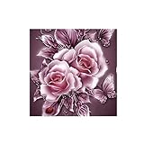 ❤️ Das Paket beinhaltet: 1PC Ölgemälde Leinwand / 1 Stück Steinplatte / 1 Stück Stift Werkzeug / 1 Set Diamant Perlen