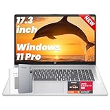 HP 17-inch FHD Laptop, 64GB RAM, 2TB SSD, AMD Ryzen 5 7430U, 17.3" FHD IPS Anti-Glare Display, Wi-Fi 6, HDMI, Windows 11 Pro, Office 365 of The Web Lifetime, w/AI Voice Recorder - Silver