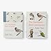 The Backyard Bird Journal: Pages for Writing, Sketching, and Living Deeply in Nature