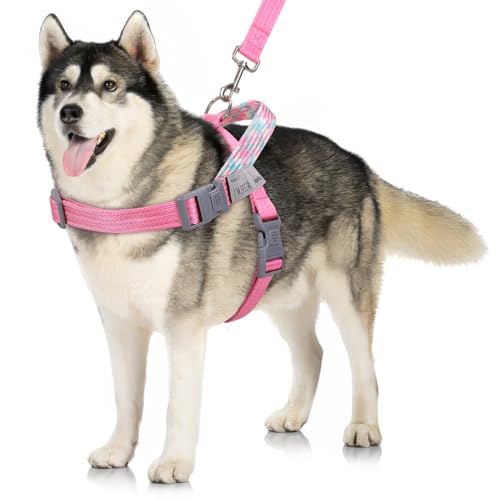 Kit básico para pasear a tu perro: preparación ideal para cada salida 5 VavoPaw arnés del Perro y Correa Set, No Pull arnés para pasear y...