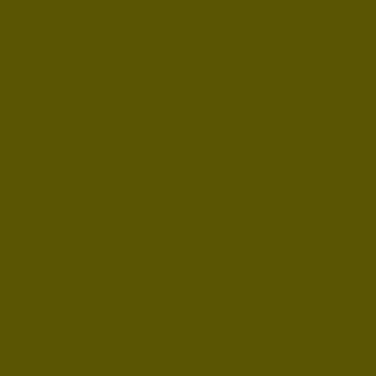 LATICRETE Latasil High Performance Silicone Sealant, Autumn Green #67