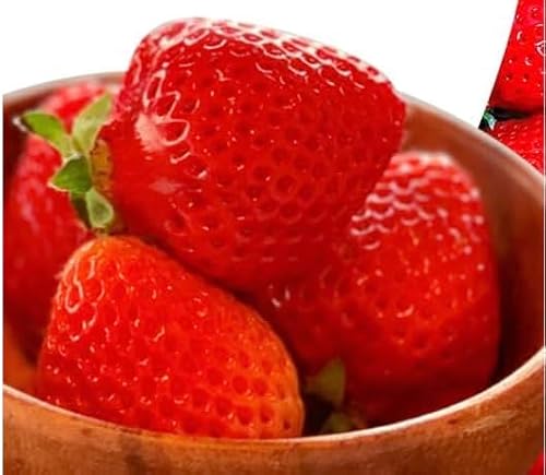 [先行予約/2026年]福岡県産あまおう 約270g×4パック[2026年3〜4月発送]