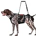 OneTigris Breathable Dog Lift Harness for Large Medium Sized Dogs, Dog Sing for Large Dogs Hind Leg Support, Dog Hip Support Brace Front Leg Vrace