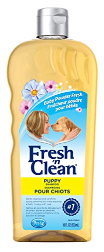 Gently Cleanse Your Puppy's Coat with PetAg Fresh n Clean Shampoo