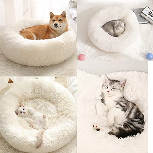 Katzenbett Hundebett Flauschig Waschbar rund Katzenkissen Hundekissen Plüsch Haustierbett Donut Hundekorb Katzenkorb für Katzen und kleine mittelgroßen Hunde (70CM, Weiß)