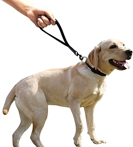 Chmete AVASEE Short Dog Leash Heavy Duty Dog Leash With Comfortable Padded Handle Reflective Training Dog Leashes thumb #5