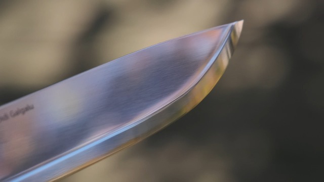 Amazon.co.jp: ヘレナイフ ディディガルガル 14C28N HELLE