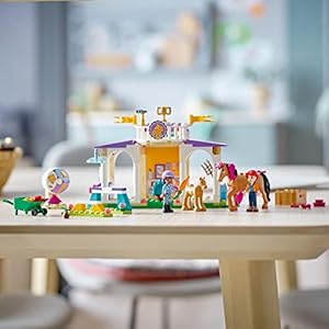 Amazon.co.jp - レゴ® フレンズ 調教センター 41746