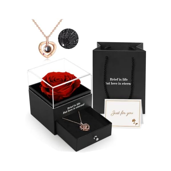 Geconserveerde Echte Roos,Geschenkdoos Met ik Hou Van Je Ketting, Handgemaakte EeuwigeEchte Roos Bloem Cadeau Voor Haar Vrouw Vriendin Moeder Op Verjaardag,Jubileum,Valentijnsdag, Moederdag,Kerstmis