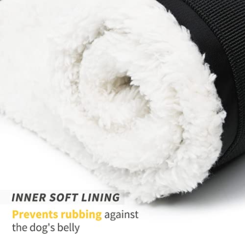 4-120 Lbs Dog Lift Harness Adjustable Dog Sling For Large Dogs Lift Support And Rehab Harness For Weak Rear Legs, Soft Hind Leg Support Helps Senior, Injured, Disabled And After Acl Surgery (Large) #TOP2