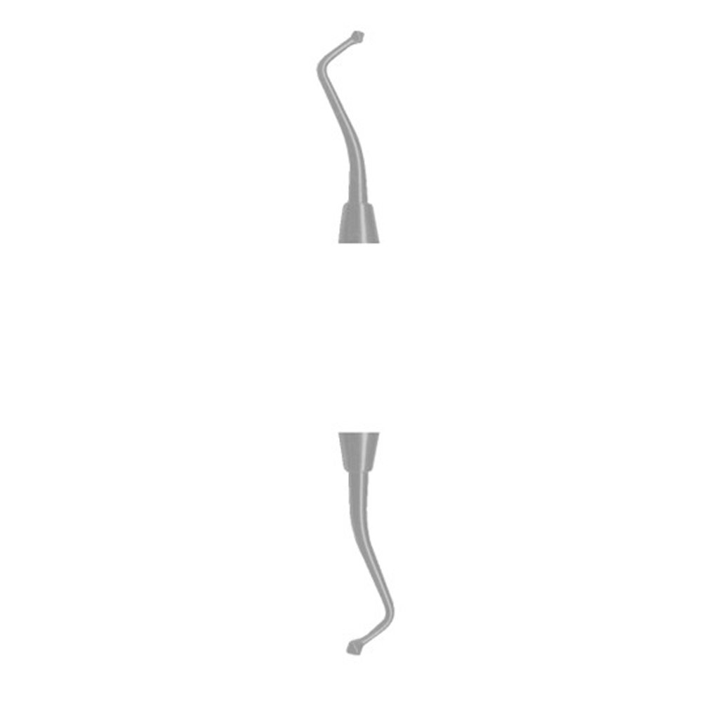 DENTAL BURNISHERS DOUBLE ENDED ACORN 21 1870 Industrial