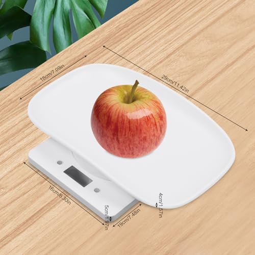 Bilancia digitale per alimenti - Vassoio di pesatura da cucina con display LCD, funzione tara, 4 unità di misura, intervallo di pesatura 0,0022-22,05 libbre, ideale per frutta e piccoli animali