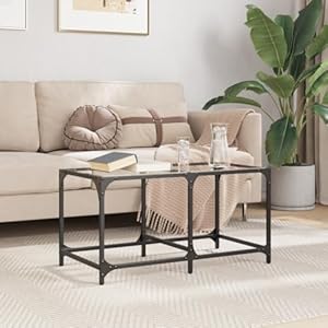 HaoChrymec Glasplatten-Couchtisch Stahlgestell 78,5x40x40 cm