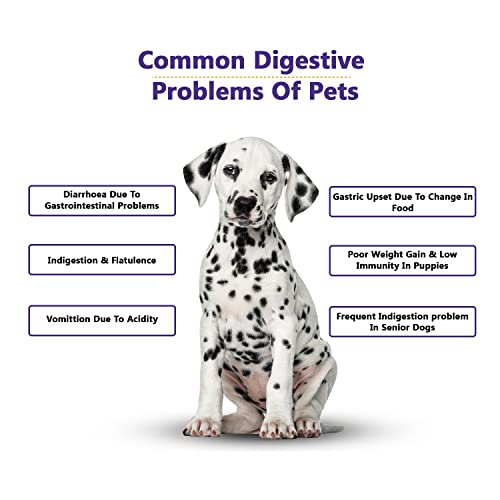 Petvit Prebiotic and Probiotics for Dogs | Dog Gut Health Supplement | Added Vitamins & Omega 3 6 for Dogs | Supports Digestive Enzymes | Immunity Booster | 20 sachets