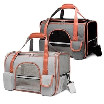 Bolsa Pet Transporte Viagem Mala Avião Luxo Cães E Gatos (preto)