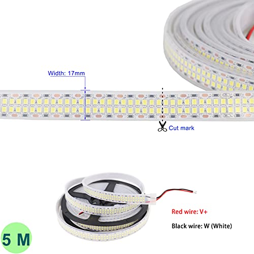 Ledenet Cold White 6500K 5M Double Row 2835 Smd 2400Leds Flexible Strip Tape Dimmable Light 480Leds/M Ribbon Lamp Dc 12V 16.4Ft Weather Proof Strips Waterproof Ip67 High Intensity Wheel Lights #TOP3