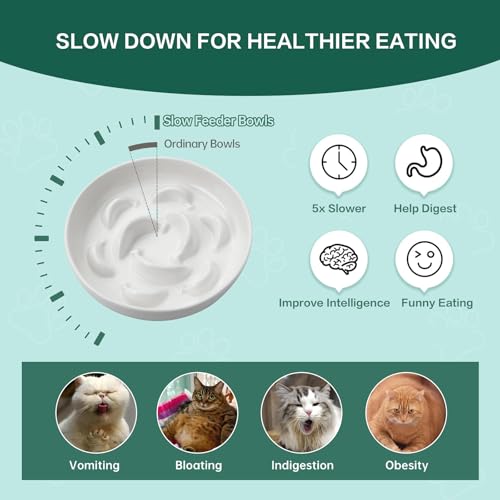 Anti-Schling-Napf für Katzen aus lebensmittelechtem Melamin – Rutschfester Slow Feeder mit Labyrinth-Design – Sanfte Farben – Für Nass- und Trockenfutter geeignet – Weiß– 16 x 16 x 3,2 cm