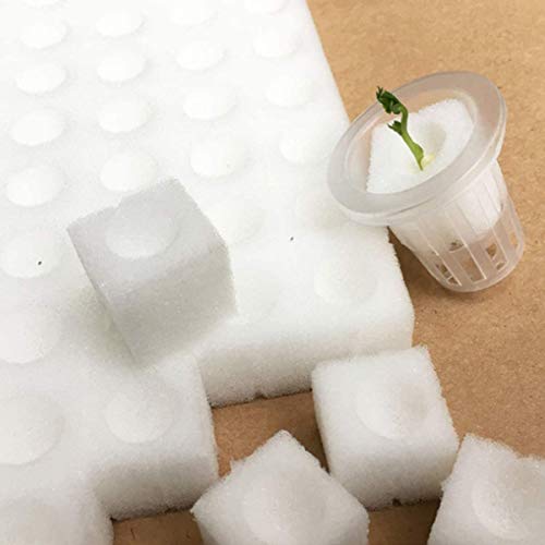 JUHAOWU 100Pcs Hydroponic Sponge Planting Gardening Tool Square Seedling Sponges for Greenhouse Hydroponic Sponge for Small Bud Growth or Grow Seedlings - Image 3