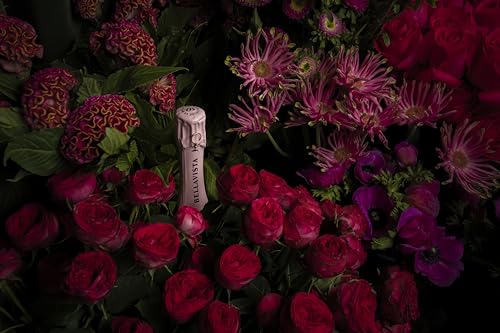 Bellavista Grande Cuvée Alma Rosé Franciacorta Brut, Pinot Nero, Chardonnay, Plant Based - 1 Flasche 750 ml