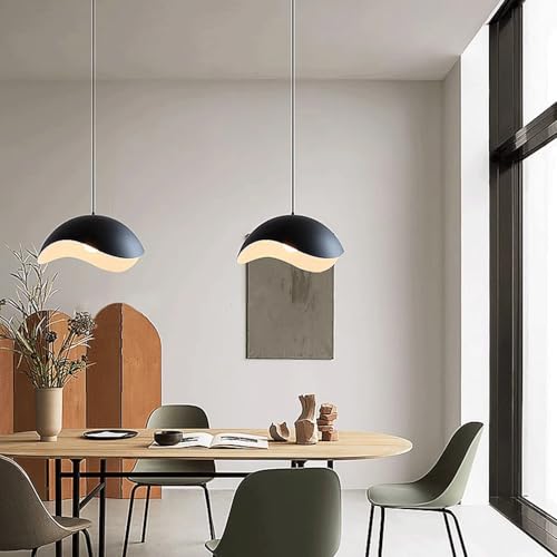 Lustre en fer E27 pour remplacer un plafonnier classique daté - 3