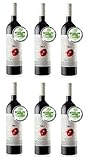 vino ecologico navarra Cata: Vino tinto de color rubí intenso; presenta una capa media-alta. En nariz presenta aromas a fruta madura con toques anisados y notas de tofe y vainilla. En boca es goloso y agradable.